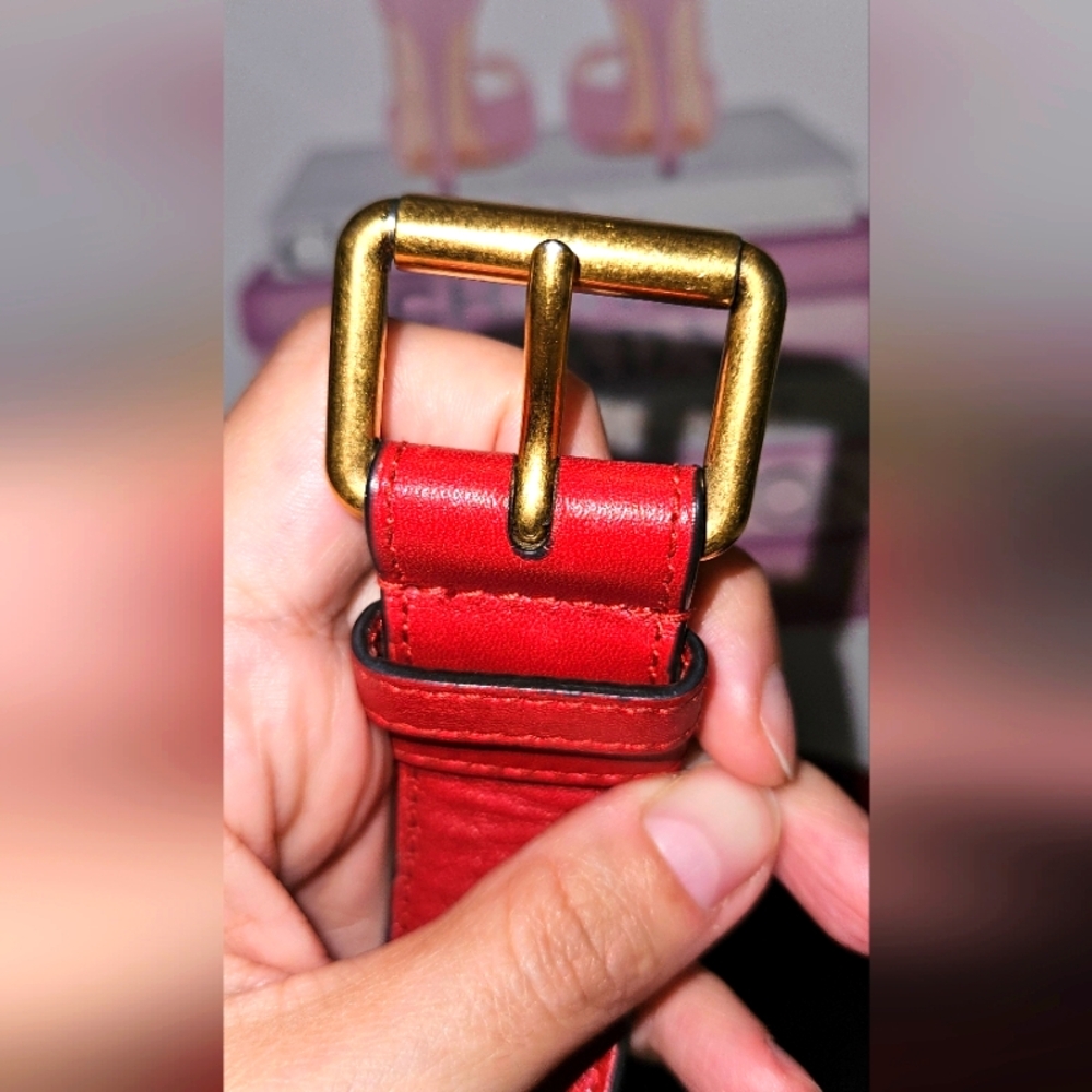 Gucci GG Red Calfsking Belt Bag with Gold Logo - Picture 14 of 16